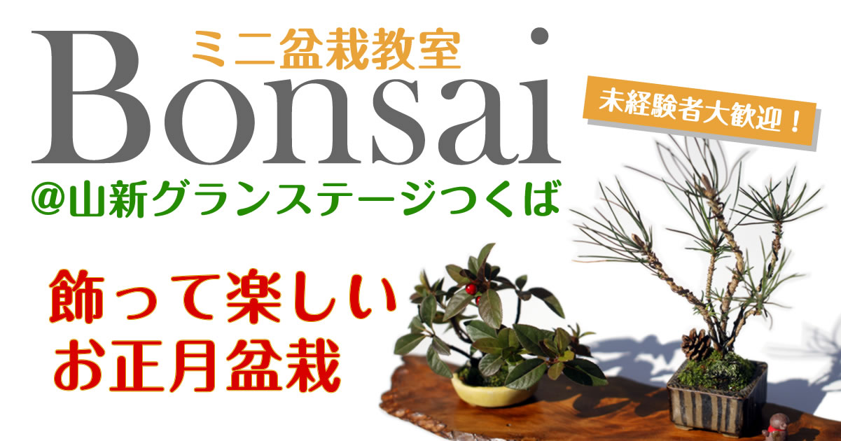18年12月山新グランステージつくば 茨城県 での盆栽ワークショップ キミのミニ盆栽びより