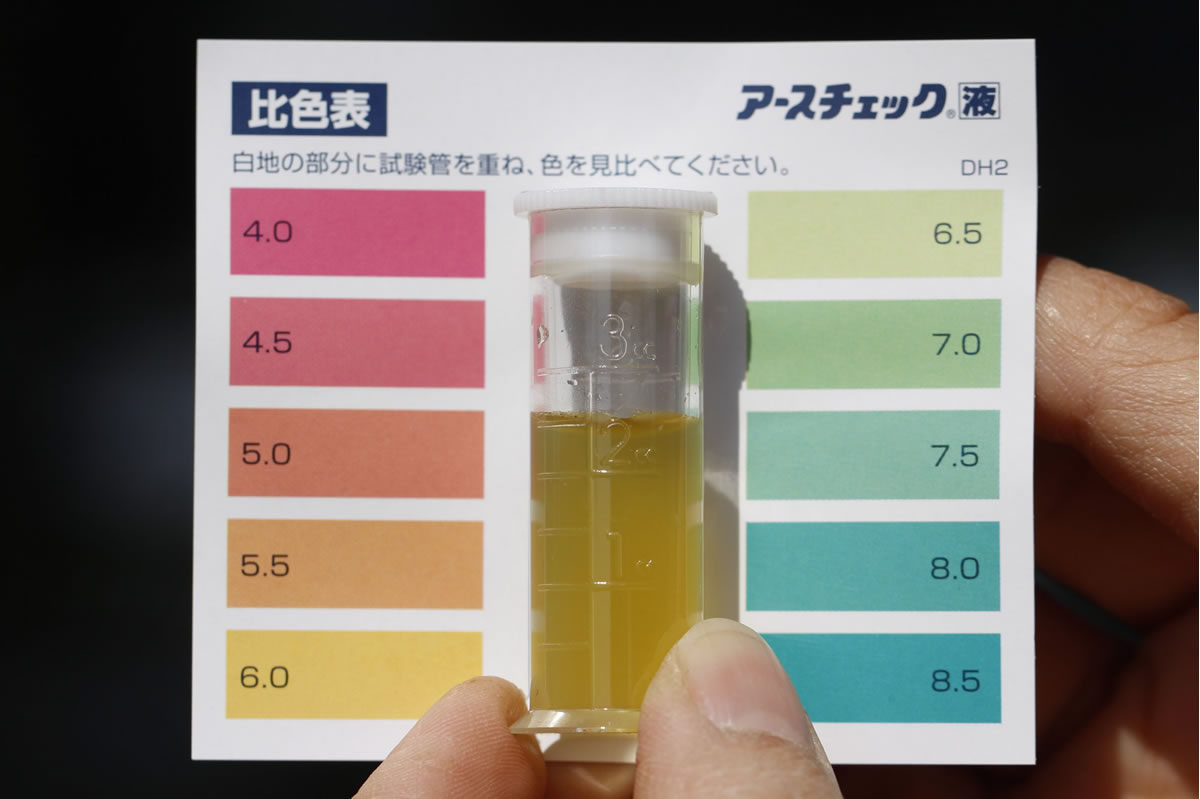 pH測定