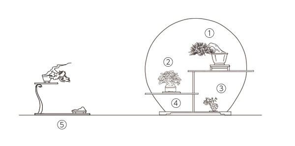 盆栽の飾り方｜盆栽びより