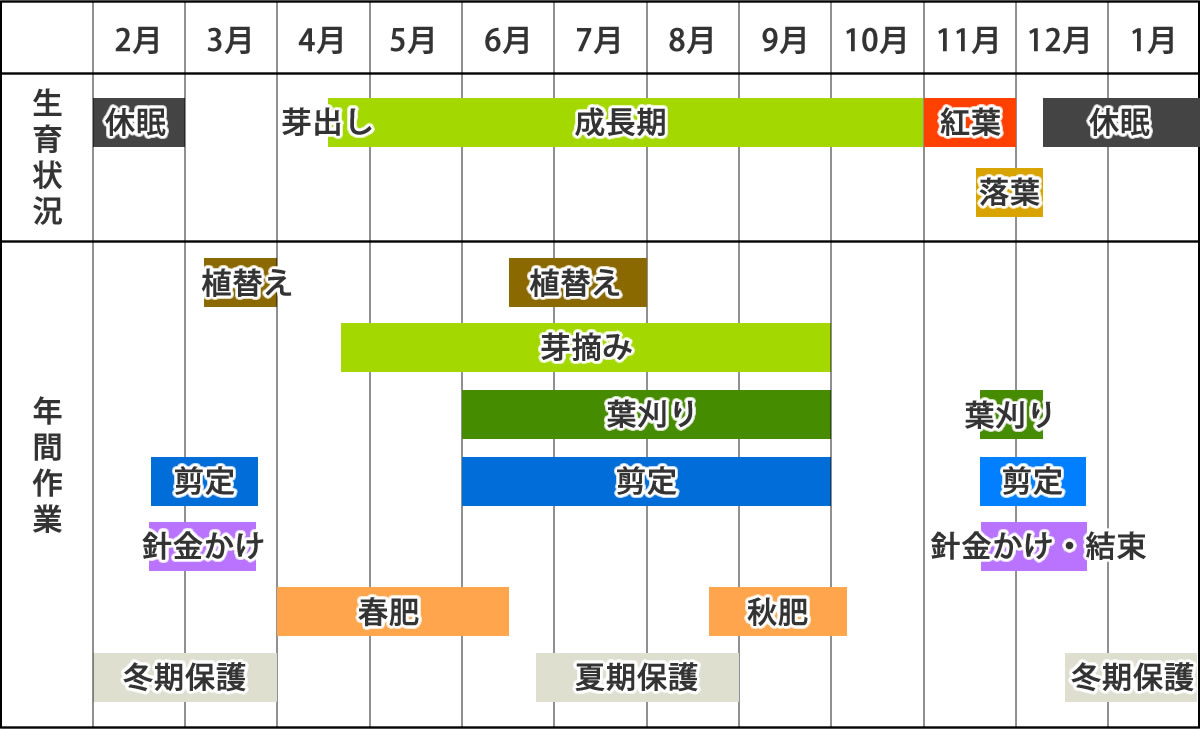 ケヤキの作業カレンダー