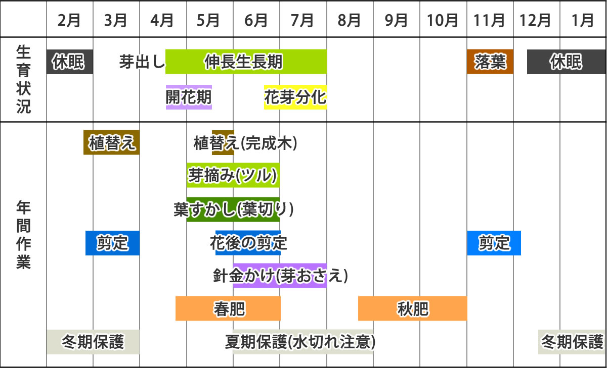 フジの作業カレンダー