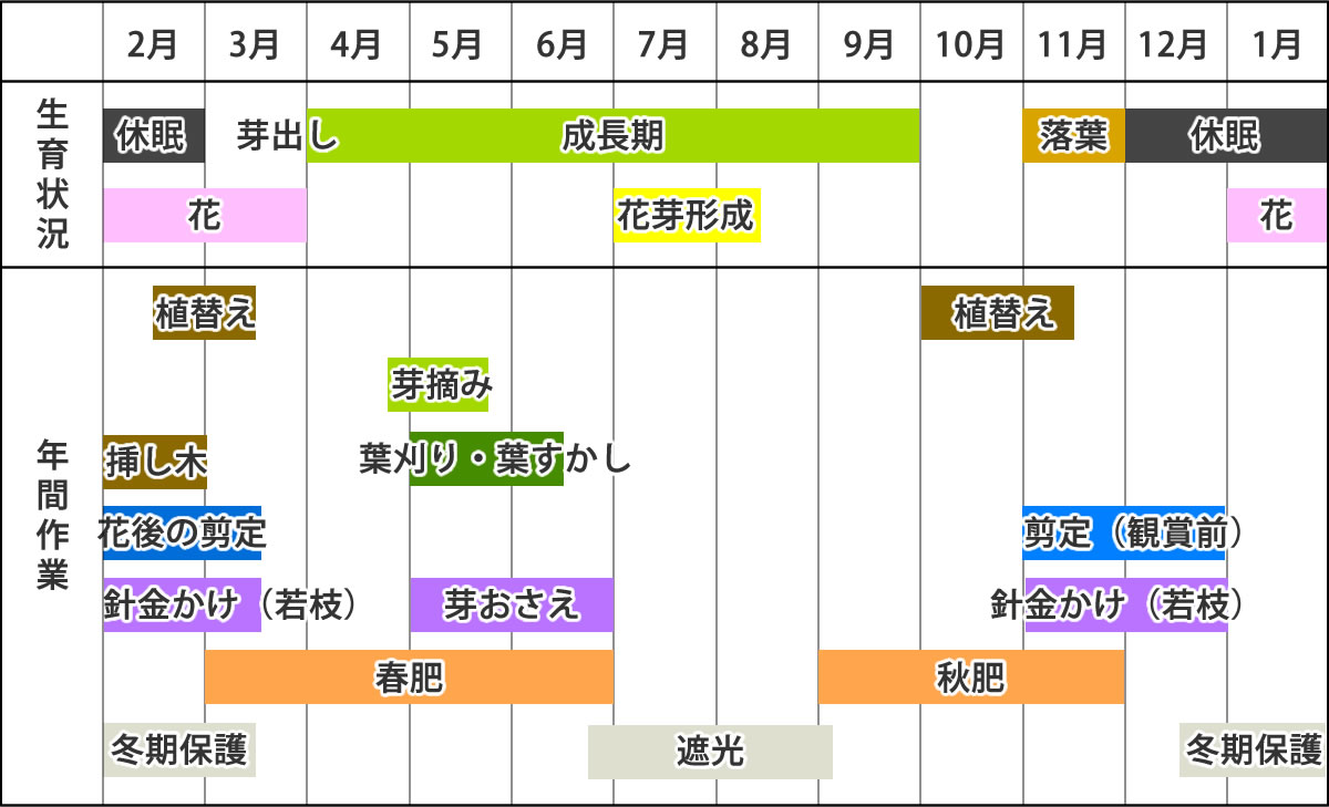 ウメの適期作業カレンダー