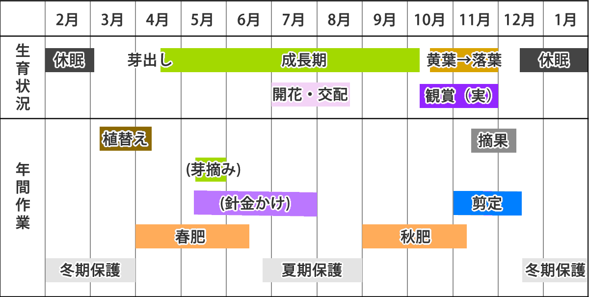 アオツヅラフジの作業カレンダー